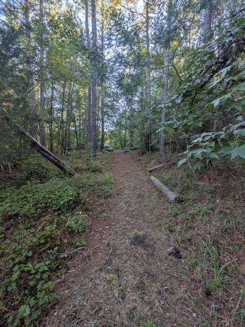 Tiny photo for 10 New Market Road, Trenton, SC 29847 (MLS # 219071)