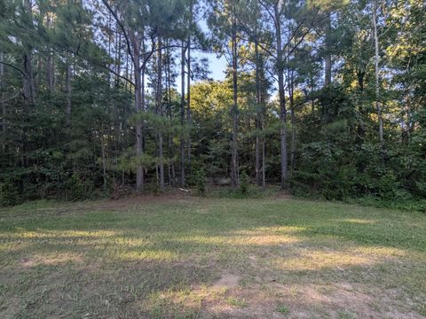 Tiny photo for 10 New Market Road, Trenton, SC 29847 (MLS # 219071)