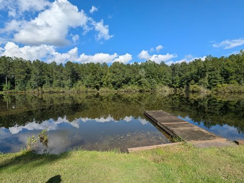 Tiny photo for 10 New Market Road, Trenton, SC 29847 (MLS # 219071)