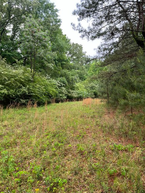 Tiny photo for 5924 Wagener Road, Wagener, SC 29164 (MLS # 216972)