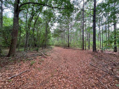 Tiny photo for 5924 Wagener Road, Wagener, SC 29164 (MLS # 216972)