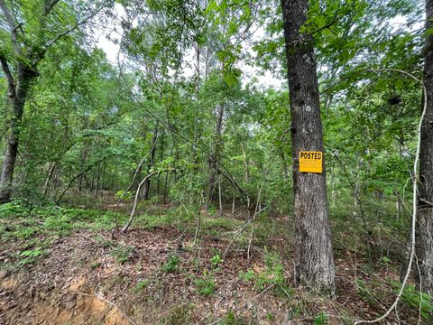 Tiny photo for 5924 Wagener Road, Wagener, SC 29164 (MLS # 216972)