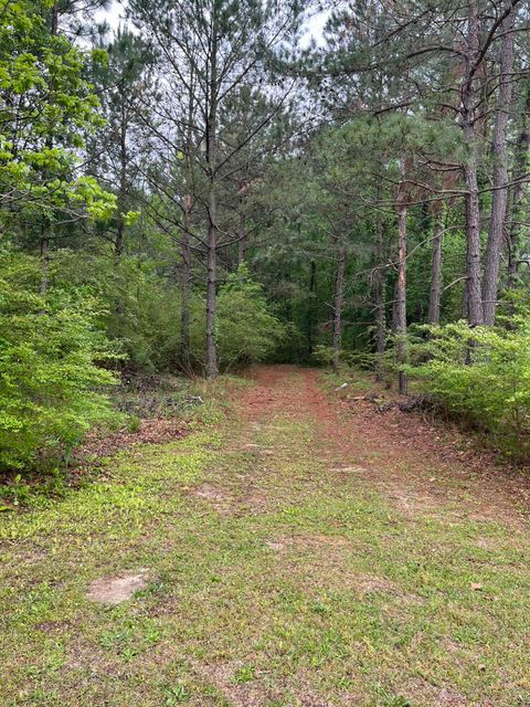 Tiny photo for 5924 Wagener Road, Wagener, SC 29164 (MLS # 216972)