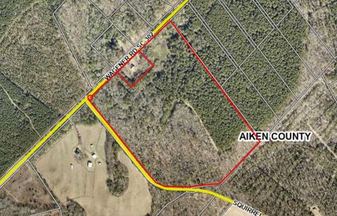 Tiny photo for 5924 Wagener Road, Wagener, SC 29164 (MLS # 216972)