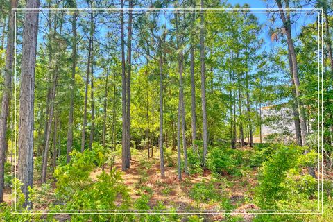 Single Family Residence in Aiken SC Lot 612 Bristlecone Drive.jpg