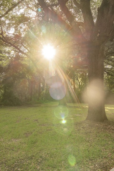 Tiny photo for 160 Old Dibble Road, Aiken, SC 29803 (MLS # 217818)