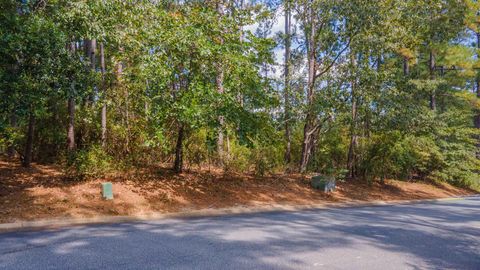 Photo of 234 Long Shadow Drive, Aiken, SC 29803 (MLS # 219647)