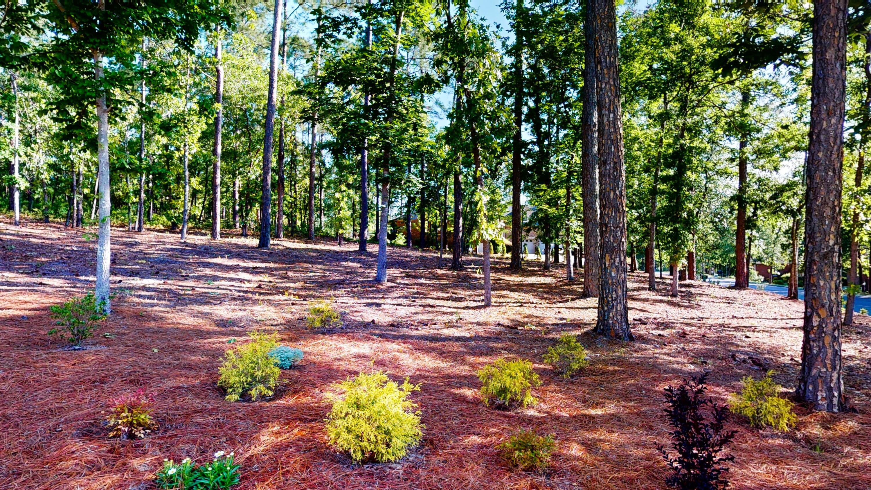 Aiken, South Carolina 29803, United States, 4 Bedrooms Bedrooms, ,4 BathroomsBathrooms,Residential,Active,130111