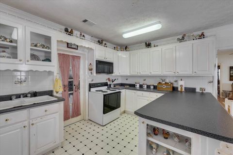 Tiny photo for 1300 Terry Drive, Wrens, GA 30833 (MLS # 214547)