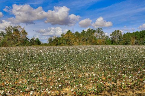 Tiny photo for 1300 Terry Drive, Wrens, GA 30833 (MLS # 214547)