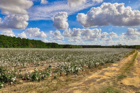 Tiny photo for 1300 Terry Drive, Wrens, GA 30833 (MLS # 214547)