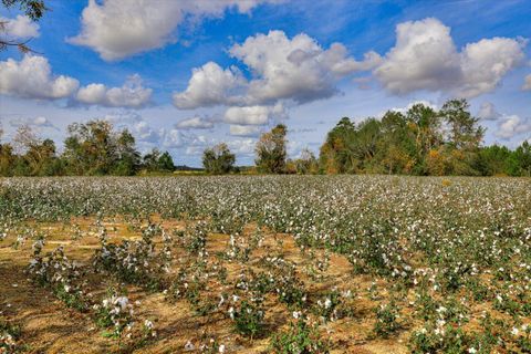 Tiny photo for 1300 Terry Drive, Wrens, GA 30833 (MLS # 214547)