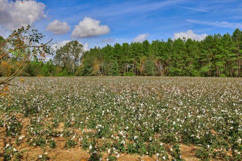 Tiny photo for 1300 Terry Drive, Wrens, GA 30833 (MLS # 214547)