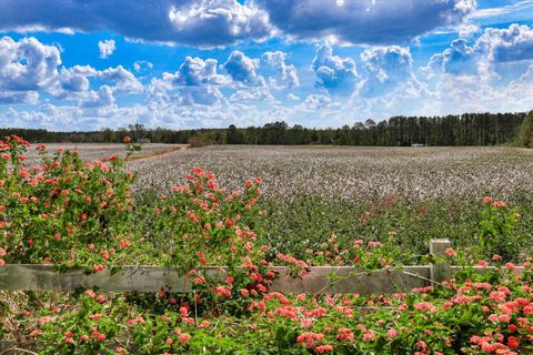 Tiny photo for 1300 Terry Drive, Wrens, GA 30833 (MLS # 214547)