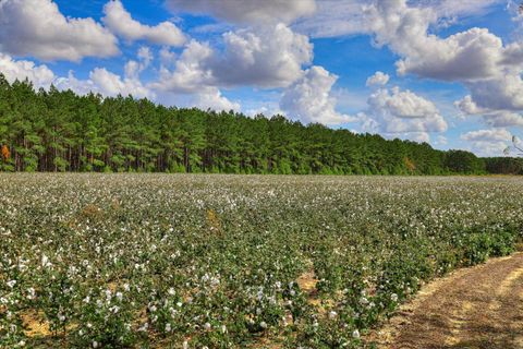 Tiny photo for 1300 Terry Drive, Wrens, GA 30833 (MLS # 214547)