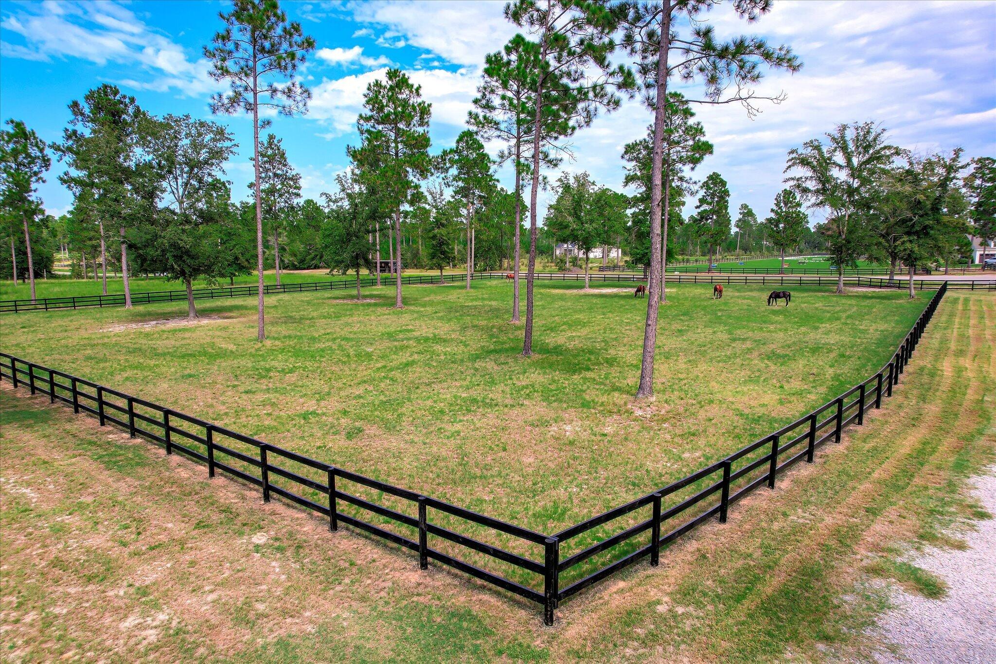 252 Paddock Clb Parkway
