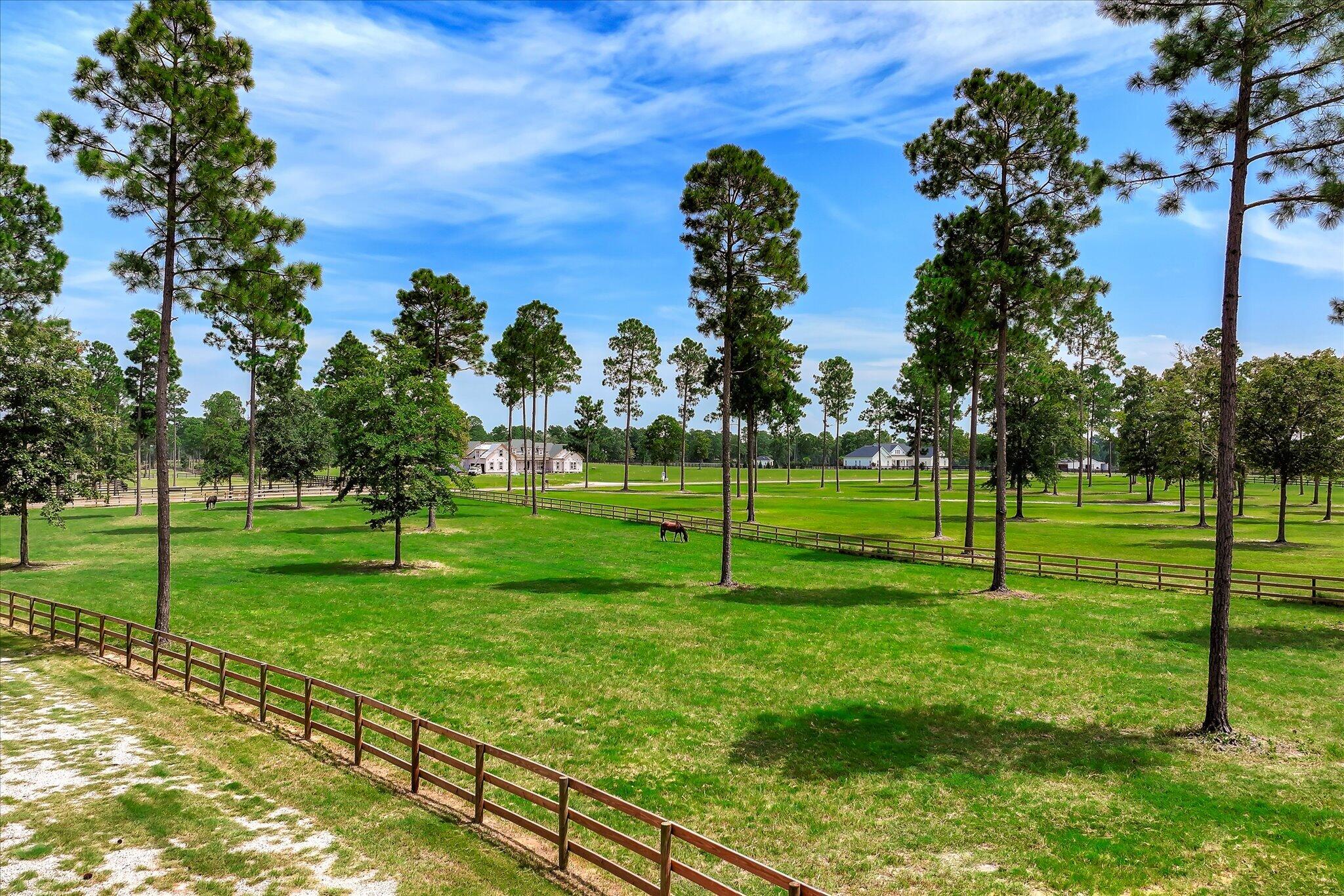 252 Paddock Clb Parkway