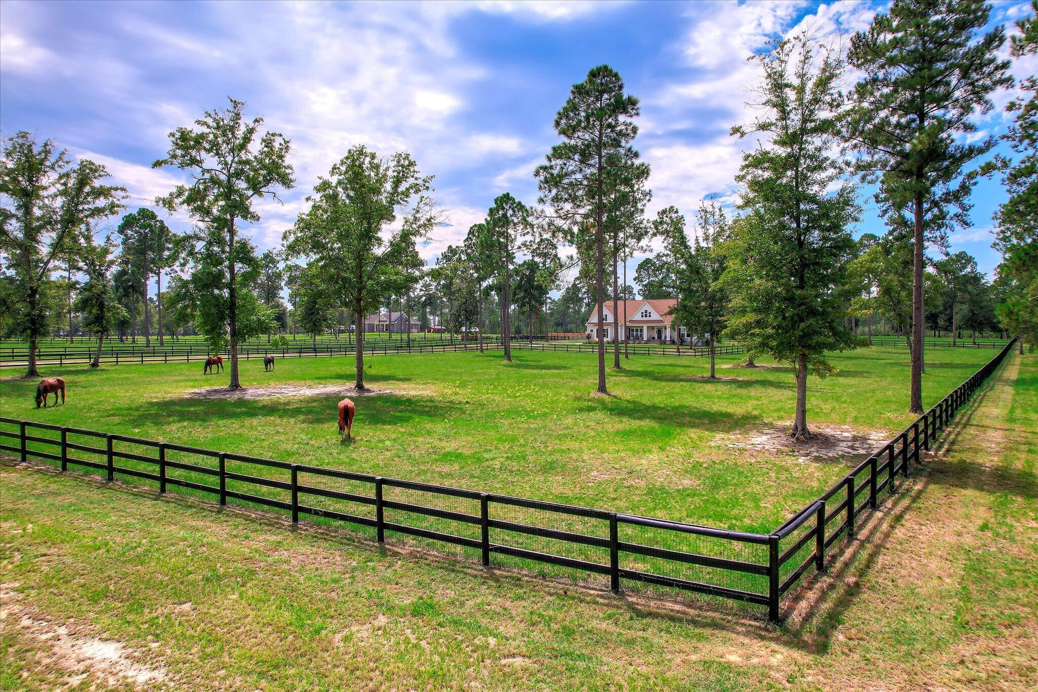 252 Paddock Clb Parkway