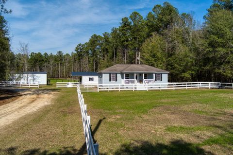 Tiny photo for 371 Nickletop Road, Windsor, SC 29856 (MLS # 222149)