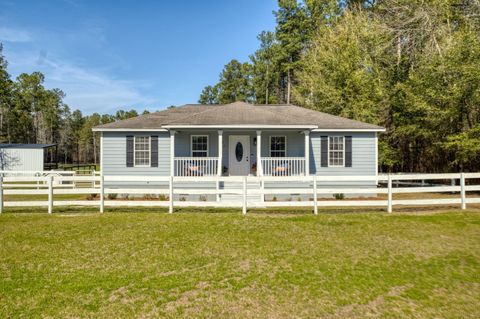 Tiny photo for 371 Nickletop Road, Windsor, SC 29856 (MLS # 222149)