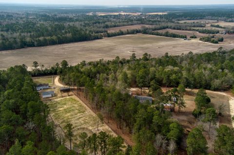 Tiny photo for 371 Nickletop Road, Windsor, SC 29856 (MLS # 222149)