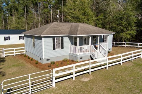 Tiny photo for 371 Nickletop Road, Windsor, SC 29856 (MLS # 222149)