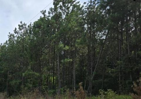 Photo of Lot L D Old Edgefield Road, Ninety Six, SC 29666 (MLS # 219932)