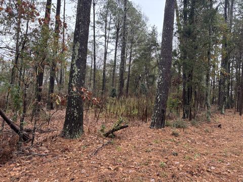 Photo of 000 Gray Street, Edgefield, SC 29824 (MLS # 221506)