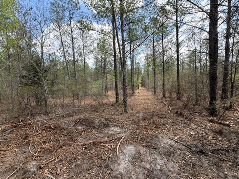 Photo of Cva 1 Mount Calvary Road #Cva 1, Ridge Spring, SC 29129 (MLS # 222700)