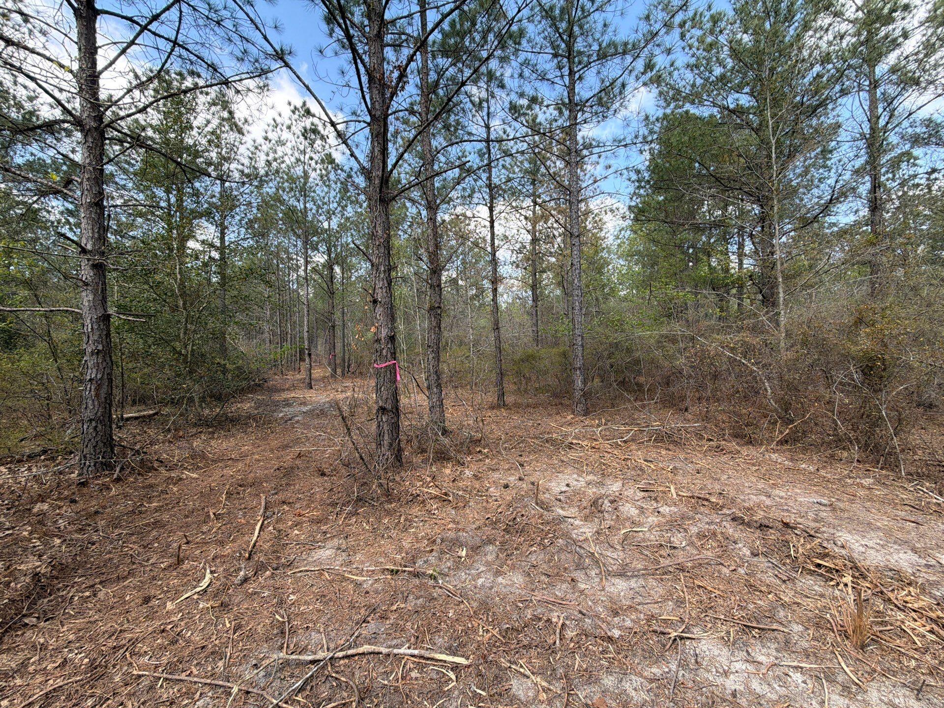 Cva 1 Mount Calvary Road Cva 1