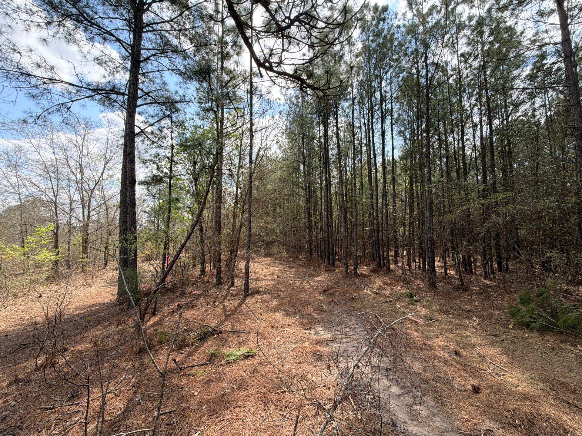 Cva 1 Mount Calvary Road Cva 1