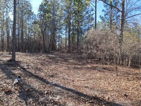 Tiny photo for 150 Log Cabin Road, Aiken, SC 29805 (MLS # 216118)