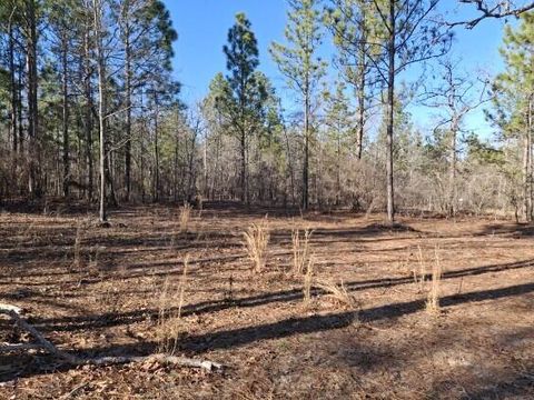 Tiny photo for 150 Log Cabin Road, Aiken, SC 29805 (MLS # 216118)