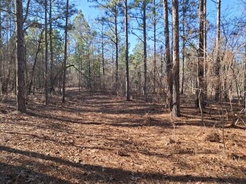 Tiny photo for 150 Log Cabin Road, Aiken, SC 29805 (MLS # 216118)