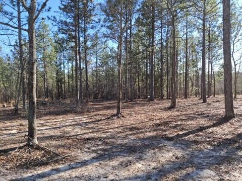 Tiny photo for 150 Log Cabin Road, Aiken, SC 29805 (MLS # 216118)