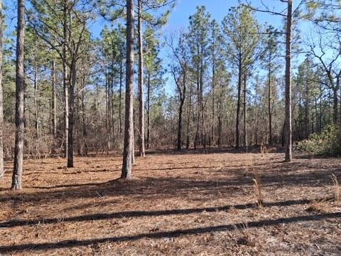 Tiny photo for 150 Log Cabin Road, Aiken, SC 29805 (MLS # 216118)