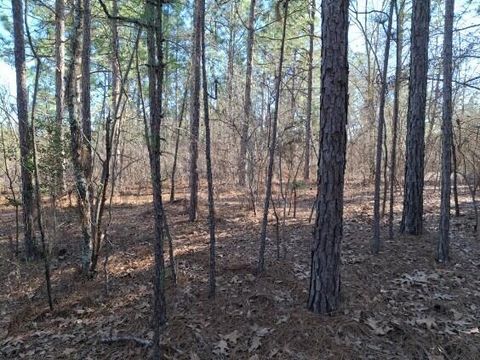 Tiny photo for 150 Log Cabin Road, Aiken, SC 29805 (MLS # 216118)