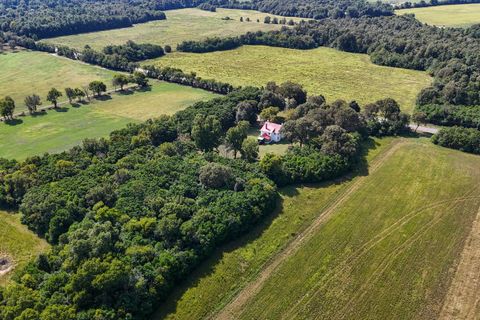 Tiny photo for 357 Williston Road, Beech Island, SC 29842 (MLS # 212138)
