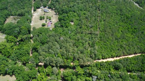 Photo of 1091 Pine Grove Road, Batesburg-Leesville, SC 29006 (MLS # 223353)