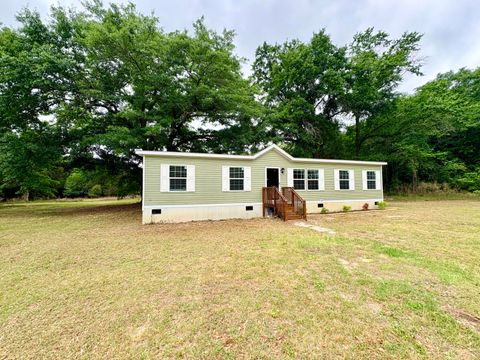 Photo of 841 Cedar Creek Road, Swansea, SC 29160 (MLS # 223135)