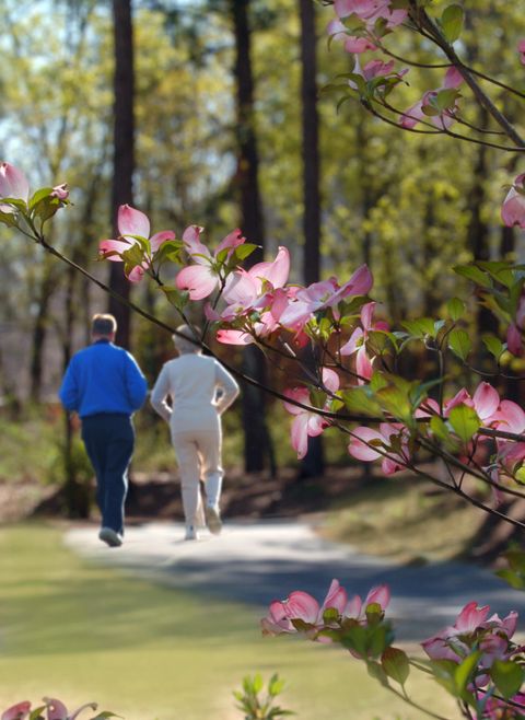 Tiny photo for Lot 3b-20 Commonwealth Way, Aiken, SC 29803 (MLS # 219481)