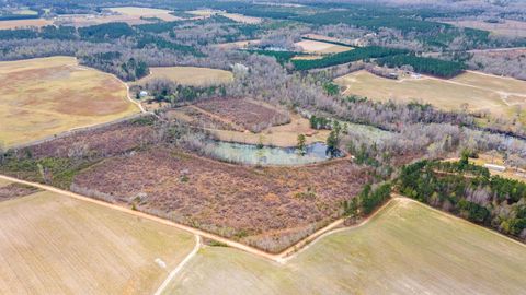 Tiny photo for 1420 Baltic Road, Blackville, SC 29817 (MLS # 200648)