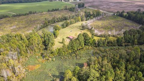 Tiny photo for 1420 Baltic Road, Blackville, SC 29817 (MLS # 200648)