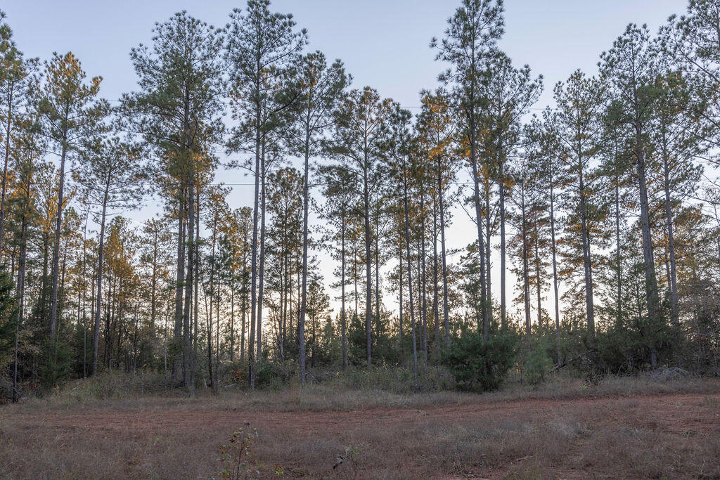 Tbd Barr Chapel Road