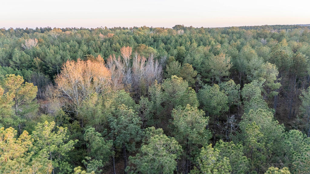 Tbd Barr Chapel Road