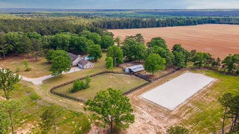 Photo of 793 Flowing Well Road, Wagener, SC 29164 (MLS # 223364)
