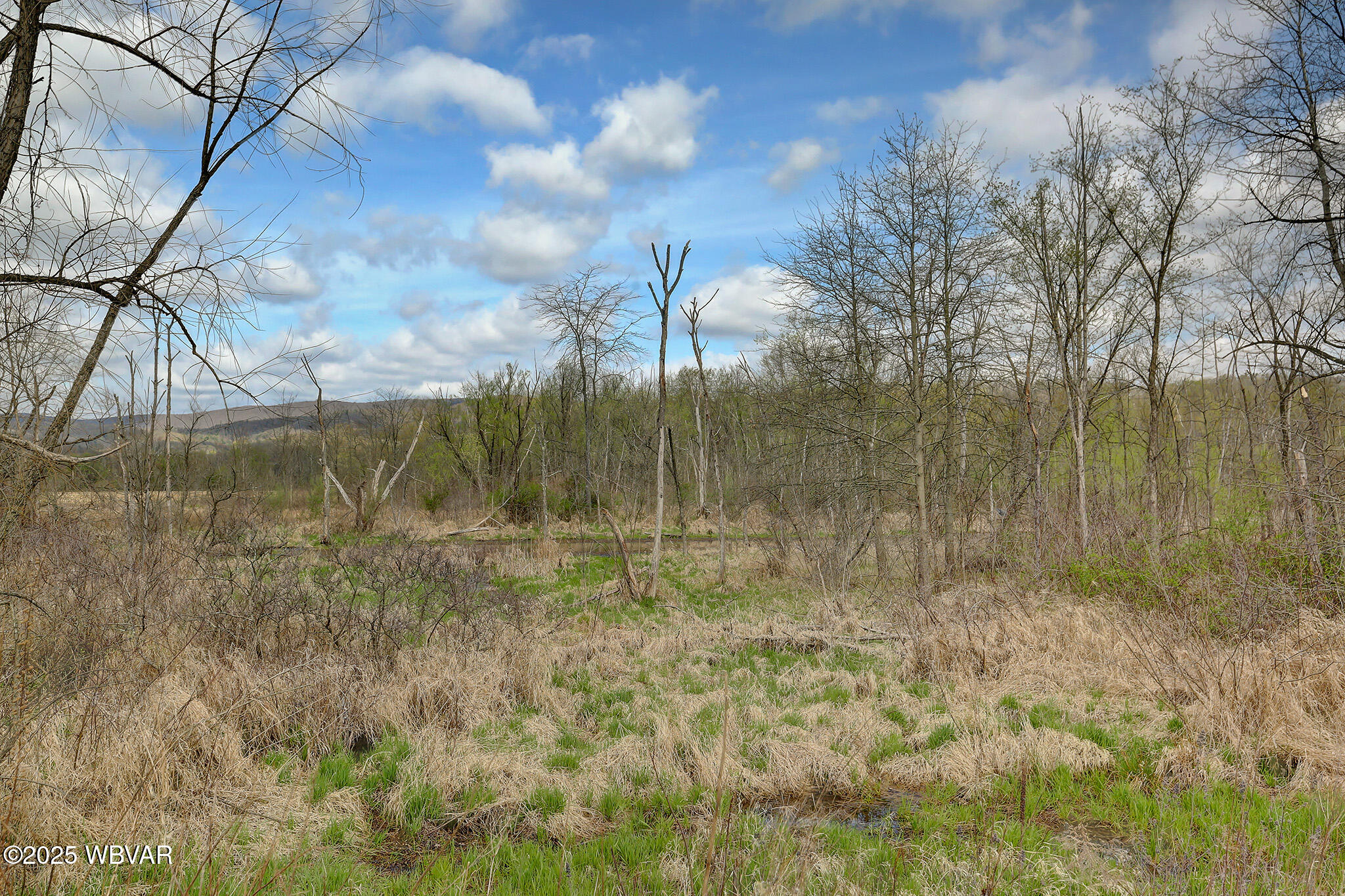 Mill Hall, Pennsylvania 17751, United States, ,2 BathroomsBathrooms,Commercial,Active,119025