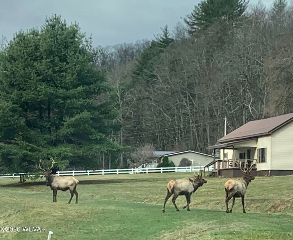 Photo of 23 PAGE RUN ROAD, Renovo, PA 17764 (MLS # WB-103719)