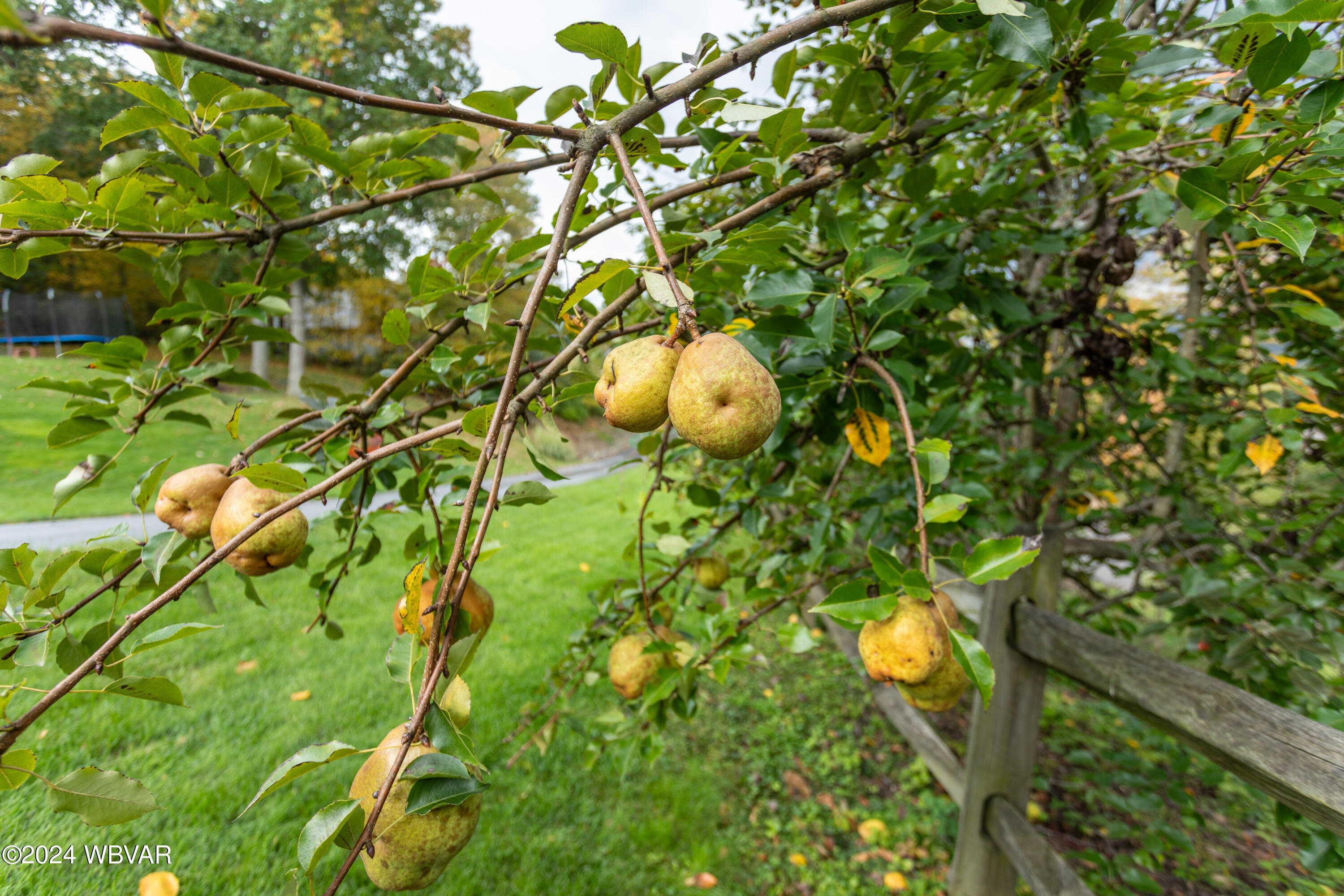 Lock Haven, Pennsylvania 17745, United States, 4 Bedrooms Bedrooms, ,3 BathroomsBathrooms,Residential,Active,39204