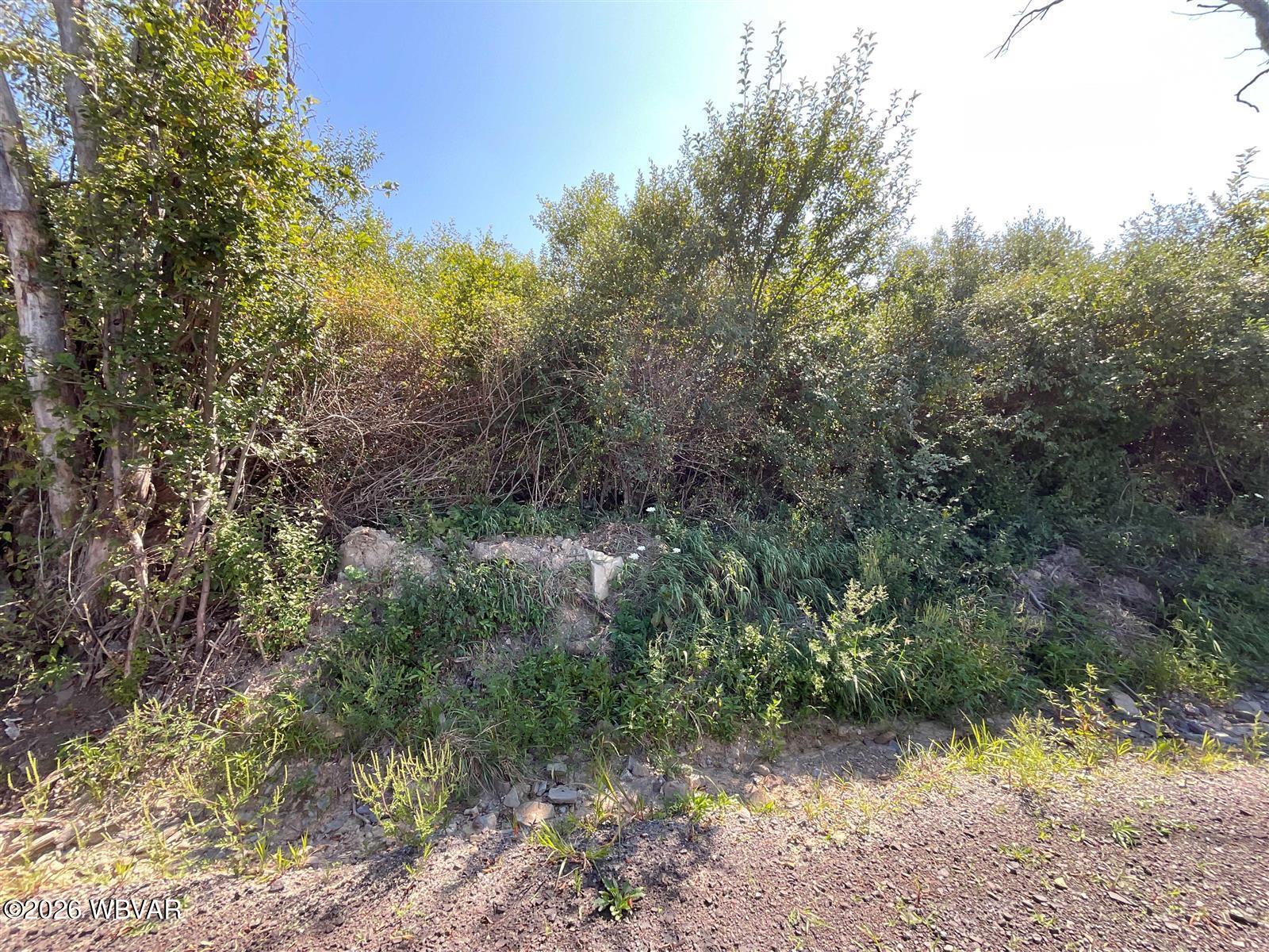 Parcel 146 smith road